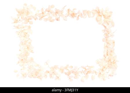 Minimalist premium eco botanical photo of frame arrangement with pastel pink hydrangea petals on isolated white background with center copy space Stock Photo