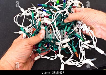 A person trying desparately to separate a tangled bundle of decorative holiday lighting with multi-colored bulbs while preparing for seasonal home Stock Photo