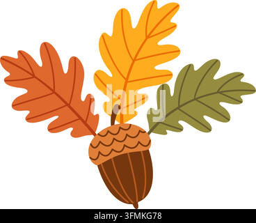 Splendid hand drawn autumn oak branch isolated vector element. Elegant flat style colorful leaves and acorn asset for Thanksgiving holiday greeting cards seasonal packaging and organic branding.  Stock Vector