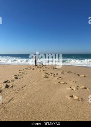 Man walking with his dog on sandy beach Stock Photo
