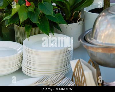 Stack of white plates, cutlery, napkins and potted plants on a table. Stock Photo
