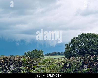Dramatic bruised storm clouds gathering over lush green farmland fields and a rural hedgerow in Staffordshire, England. Stock Photo