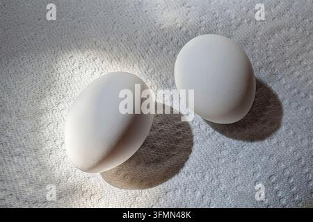 Minimalist composition of two white eggs resting on a textured surface with directional natural light creating soft shadows. Clean and simple food con Stock Photo