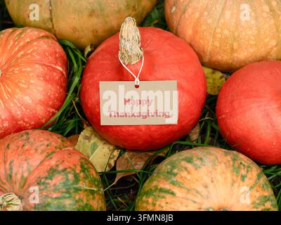 A central red pumpkin features a small craft tag reading Happy Thanksgiving surrounded by vibrant orange and green pumpkins lying on the autumn grass. Stock Photo