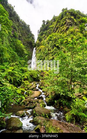 Scenic view of the majestic Trafalgar Falls surrounded by lush tropical rainforest in Dominica. Stock Photo