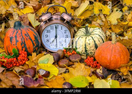 Clocks go back one hour in Autumn.  Selective focus of an old-fashioned Alarm clock with two bells surrounded by Autumn leaves, Gourds or small pumpki Stock Photo