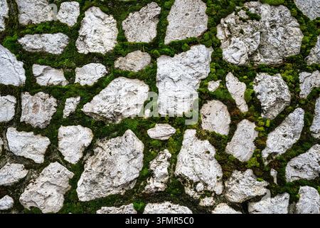 Irregular gray stones with green moss in gaps forming pavement Stock Photo
