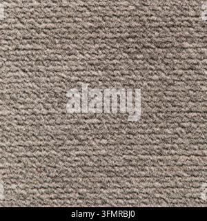 Macro photograph of a neutral grey felt carpet surface displaying soft dense fibers and horizontal ribbed ridges under even light. Stock Photo