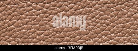 Macro panoramic photograph of a light brown pebbled leather surface highlighting a prominent embossed grain pattern under directional lighting. Stock Photo