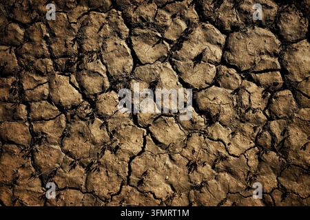 Abstract Close-Up Texture of Dry Cracked Mud and Parched Earth on the Desert Floor Stock Photo