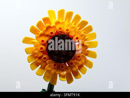 Lego sunflowers built from plastic construction bricks isolated on white Stock Photo