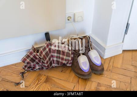 Electric shoe dryers glow with ultraviolet light inside wet leather boots on a parquet floor beside a folded umbrella in a hallway. Autumn footwear Stock Photo
