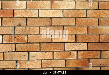 Close-up texture of an unpainted clay brick wall with rows of tan, orange, and brown bricks showing subtle weathering Stock Photo