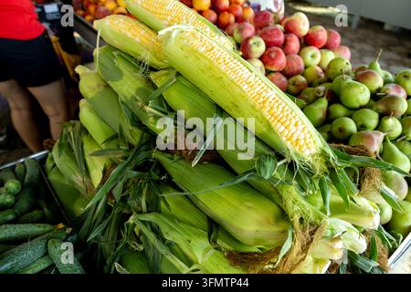 Organic ears of corn with husks partially peeled, arranged in a vibrant market stall alongside apples, pears, and cucumbers, showcasing seasonal harve Stock Photo