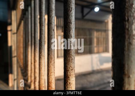 a close-up view looking through vertical metal prison bars toward a window or hallway with soft, diffused light Stock Photo