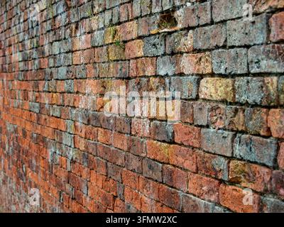 Oblique close view along a weathered red brick wall with aged mortar, surface texture and small plants in the joints. Stock Photo