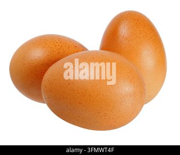 Three brown chicken eggs isolated on white background Stock Photo