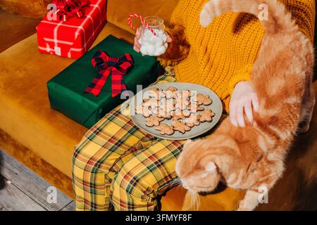 Cozy Christmas scene of a woman in yellow vintage trousers and festive sweater sitting on a brown couch with ginger cat, cookies, milk, candy cane, an Stock Photo