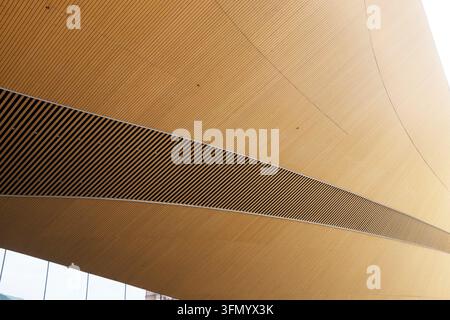 Abstract view of a curved wooden ceiling featuring layered wavy lines, fine linear texture, and warm natural tones in a contemporary architectural int Stock Photo