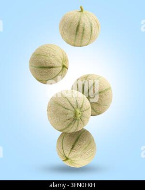Fresh cantaloupe melons falling on pastel blue background Stock Photo