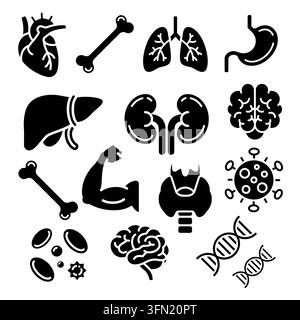 A comprehensive set of modern black solid glyph human anatomy and internal organs icons featuring heart, lungs, brain, dna, and body system elements. Stock Vector