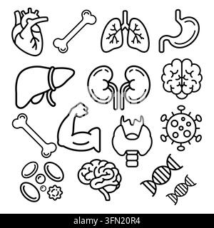 A comprehensive set of modern black line human anatomy and internal organs icons featuring heart, lungs, brain, dna, and body system elements. Perfect Stock Vector