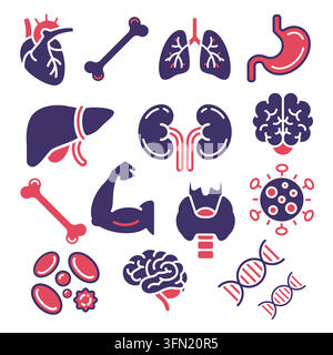 A comprehensive set of modern two-tone red and navy blue human anatomy icons featuring heart, lungs, brain, dna, and internal organs elements. Perfect Stock Vector