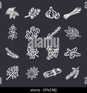 An aromatic collection of hand-drawn chalk illustrations featuring essential cooking herbs, spices, and seasonings against a dark chalkboard backgroun Stock Vector