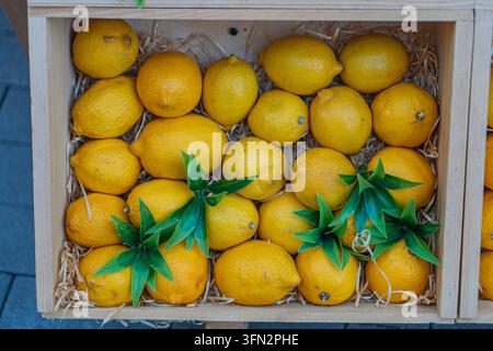 A wooden crate filled with ripe yellow lemons and green limes, some with attached leaves, sits on a gray stone surface under natural lighting The phot Stock Photo