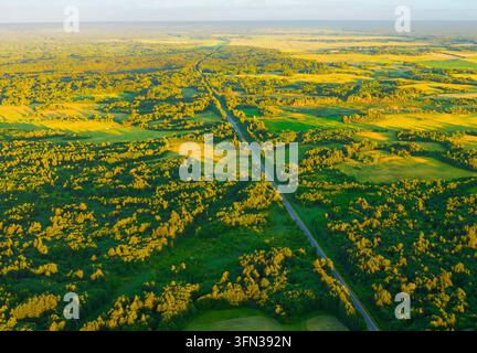 Golden hour light bathes dense forest open meadows, casting long shadows. Composition features diagonal road leading eye through layered landscape. Ri Stock Photo