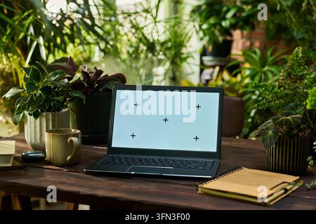 Laptop with Blank Screen Placed on Wooden Desk with Houseplants Stock Photo
