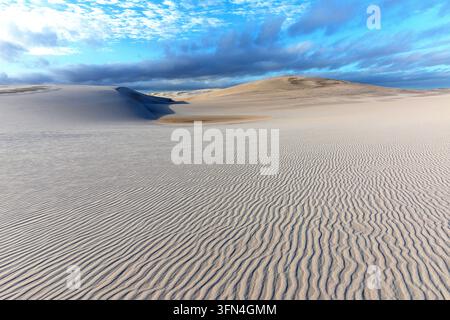 An abstract close-up of intricate wind-rippled lines and diverse mineral patterns on the white sand floors of Lencois Maranhenses, Brazil. Stock Photo