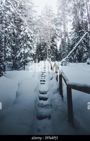 View of snow-covered wooden stairs leading through a dense pine forest in Lahemaa National Park, Estonia. Stock Photo