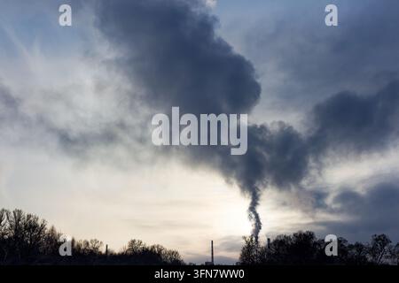 Thick white steam billows from a tall industrial chimney into the freezing winter sky, creating a massive cloud over the snow-covered forest during a Stock Photo