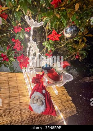 christmas reindeer sleigh light display with santa bag and poinsettias concept of holidays Stock Photo