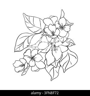 Flowering branch with open blossoms and leaves in black white vector outline illustration. Botanical coloring page. Spring bloom apple tree hand drawn Stock Vector
