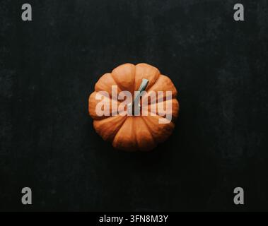 Small orange pumpkin viewed from above on a dark surface Stock Photo