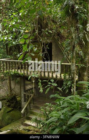 An old stone building reclaimed by the jungle Stock Photo