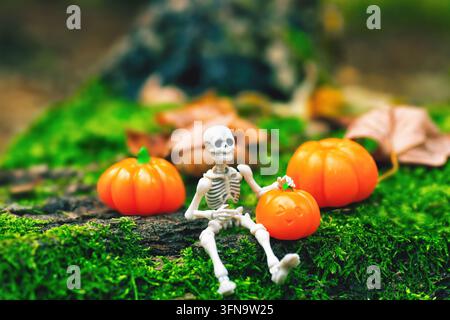 Toy human skeleton figurine sits on green moss, orange pumpkins in woodland. Cute Halloween decorative funny figures on fallen tree in autumn forest. Stock Photo