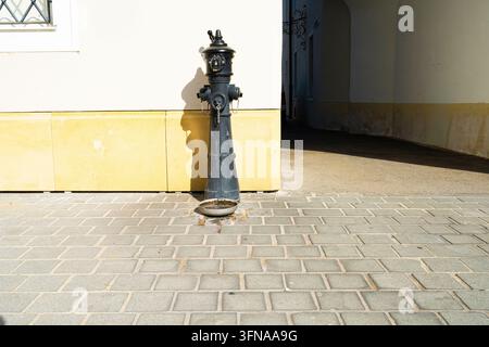 Sankt Polten, Austria. September 28, 2026.   A black antique fire hydrant stands on a cobblestone sidewalk next to a yellow-tiled wall. The hydrant ha Stock Photo