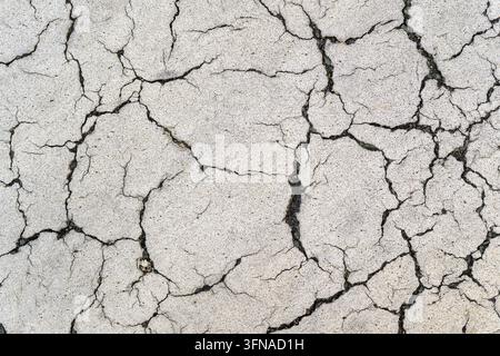 Macro overhead shot of cracked white road marking paint on an asphalt street surface. Top view. Stock Photo
