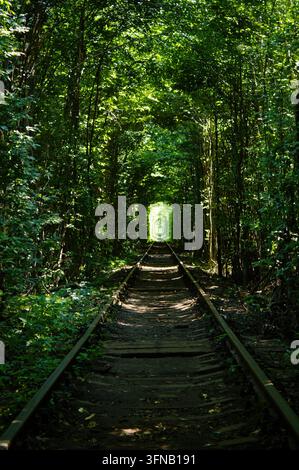 Tree-lined railway tracks forming the Tunnel of Love near Klevan, Rivne Oblast, Ukraine, photographed in daylight. Stock Photo
