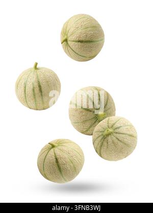 Fresh cantaloupe melons falling on white background Stock Photo