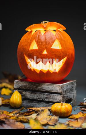 A carved, glowing jack-o'-lantern rests on a rustic wooden crate surrounded by autumn leaves and mini ornamental gourds against a dark background. Stock Photo