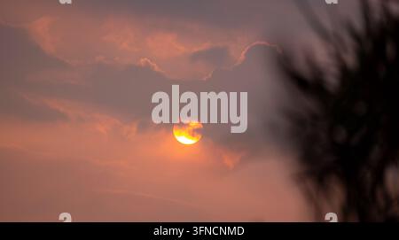 Dramatic Sunset Behind Dark Leaves With Cloudy Sky Stock Photo