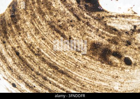 Mud texture as a background Stock Photo