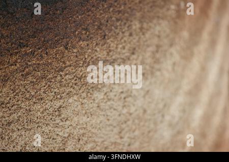 Macro shot of brown ceramic texture with gradient lighting and selective focus Stock Photo