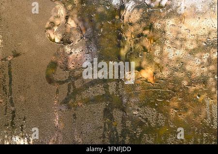 Wet glass with water droplets and blurred nature details, condensation creates soft, abstract effect, showcasing nature organic shapes through misty t Stock Photo