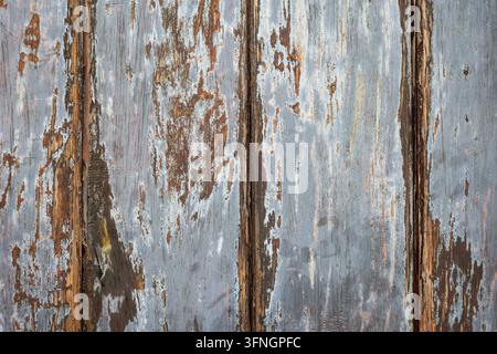 Heavily Weathered Wooden Planks with Peeling Blue Gray Paint and Rot – Grunge Rustic Texture Background Stock Photo