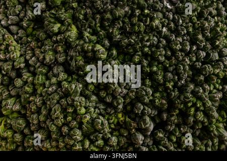 Extreme close-up broccoli floret surface showing dense green buds, natural pattern, and subtle moisture. Fresh vegetable macro texture background for Stock Photo